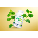 AllNutrition Lemon Balm - Маточина