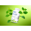 SFD Lemon Balm (Melisa)  - Маточина