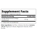 21st Century Ginkgo Biloba Extract - Гинко Билоба