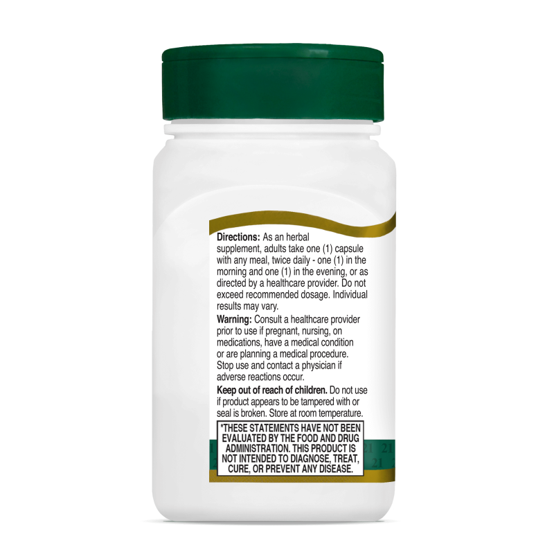 21st Century Ginkgo Biloba Extract - Гинко Билоба