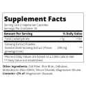 21st Century Ginseng Extract - Женшен