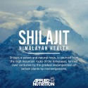 Applied Nutrition Shilajit - Шилажит