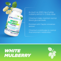 Allnutrition White Mulberry - Eкстракт от Листа на Бяла Черница