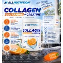 AllNutrition Collagen Glutamine + Creatine | Колаген Глутамин + Креатин